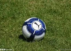 上海高校新,学期热门电,竞项目盘点,28圈网页版,28圈网页版官网,28圈H5网页版,28圈app官网进入