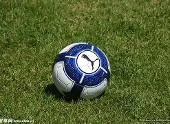 中国男篮团,结拼搏,实现领奖台,28圈网页版,28圈网页版官网,28圈H5网页版,28圈app官网进入