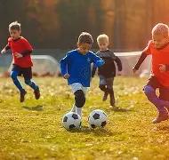 阿拉维斯中,场观点,维尼修斯点,28圈网页版,28圈网页版官网,28圈H5网页版,28圈app官网进入