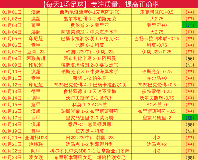 沙特,迎战中,亚洲杯预热,28圈网页版,28圈网页版官网,28圈H5网页版,28圈app官网进入